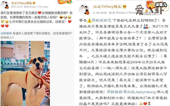 向太安慰郭碧婷