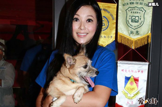 叶建波和傅明宪离婚的原因