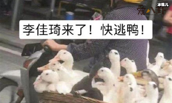 duck不必是什么梗