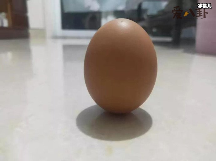 扫把站立与重力场无关