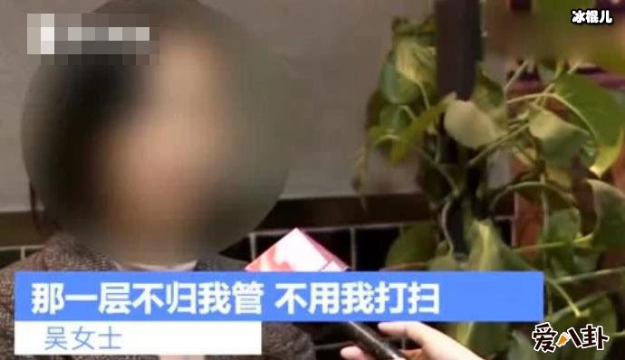 女艺人打骂保姆事件