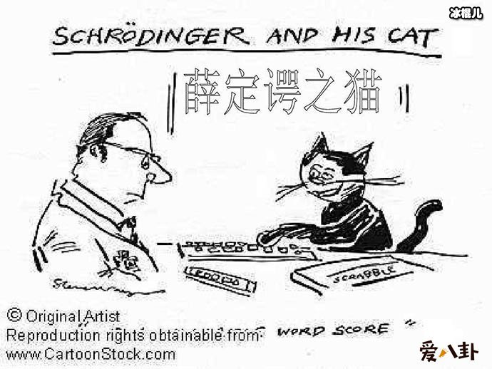 薛定谔的猫这个梗的真实意思