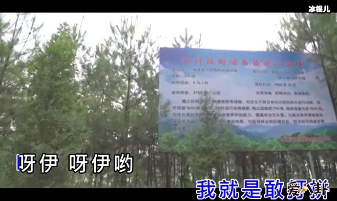 大田后生仔原唱是谁