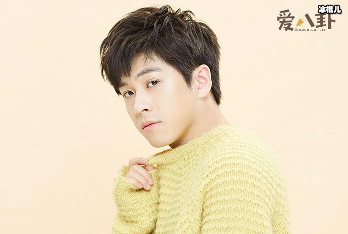 武艺父母离婚了吗