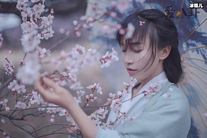 李子柒翻车现场