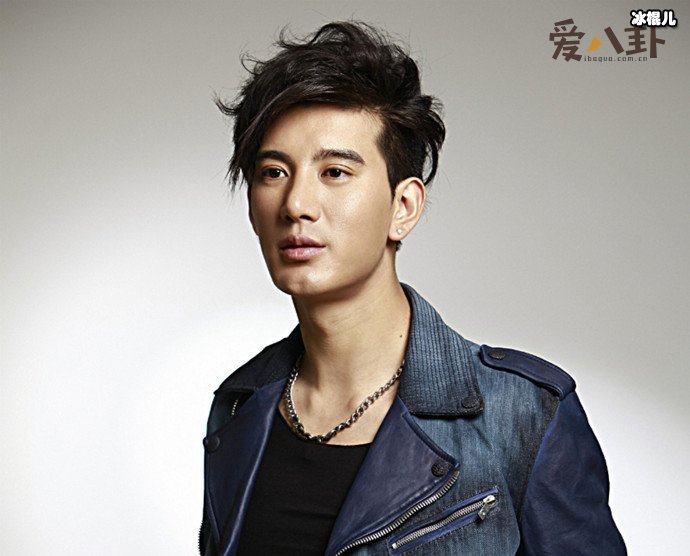 蒲巴甲进监狱事件