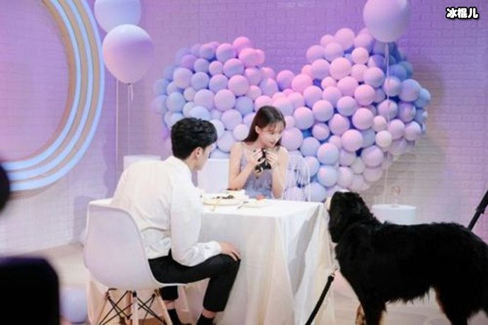 董又霖是同志吗