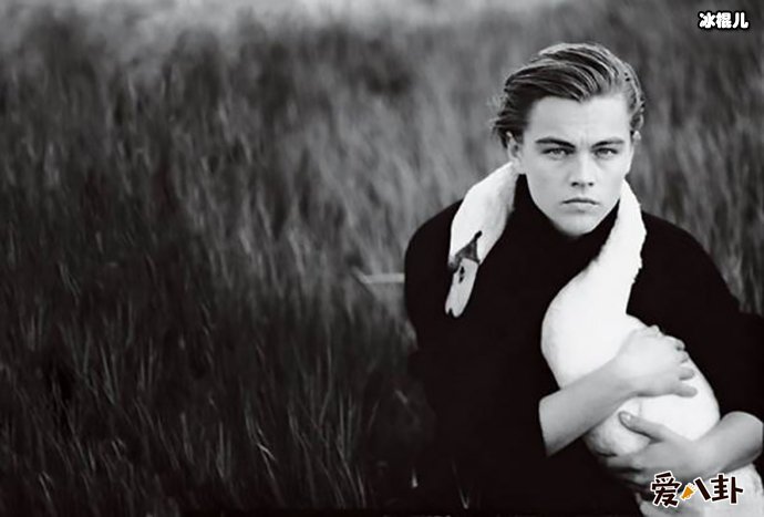 小李子现状如何