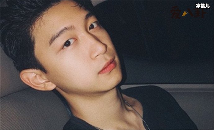 少年之名凡宇为什么退赛