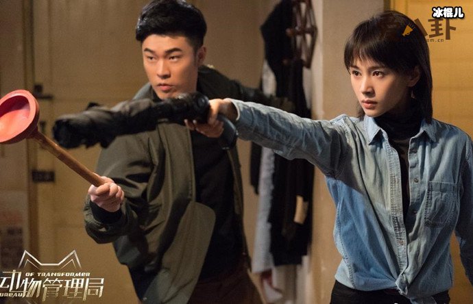 动物管理局郝运结局