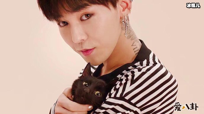 权志龙有多少粉丝