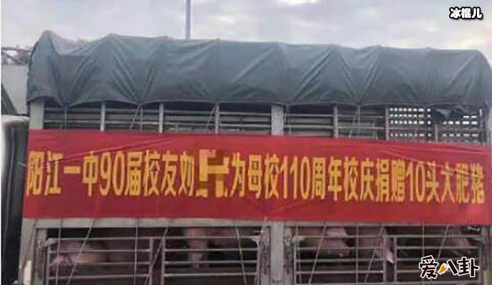 网友调侃猪肉涨价捐猪真不容易