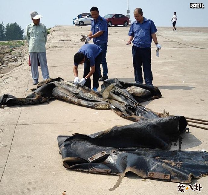 三峡水怪被打捞