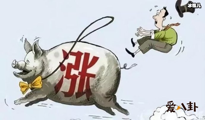网友调侃表示要吃不起猪肉