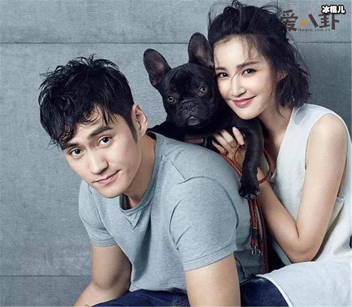 营销号称张歆艺后悔和前夫离婚