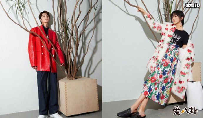 厉嘉琪吴希泽婚关系