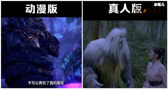 斗罗大陆真人版与动漫版对比