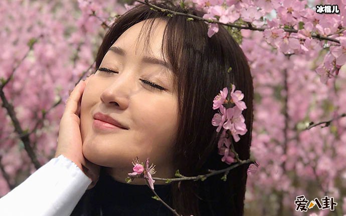 杨钰莹红楼事件是指的什么