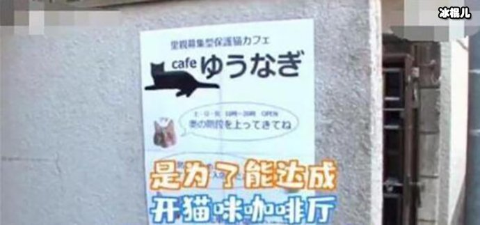 日本最省女孩咲的成功给人上了一堂课