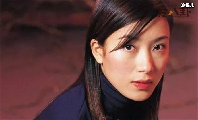 杨怡演过那些电视剧