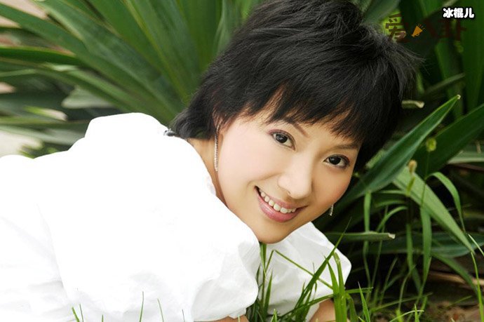 毕福剑离婚的原因