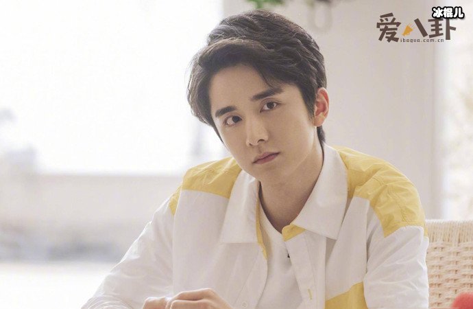 张新成为什么不红