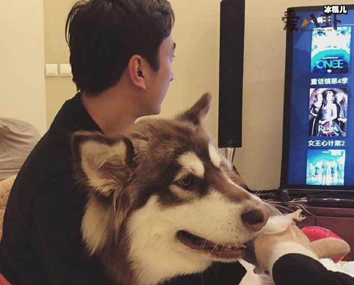 王思聪王可可如何相识