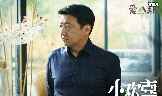 王砚辉《小欢喜》