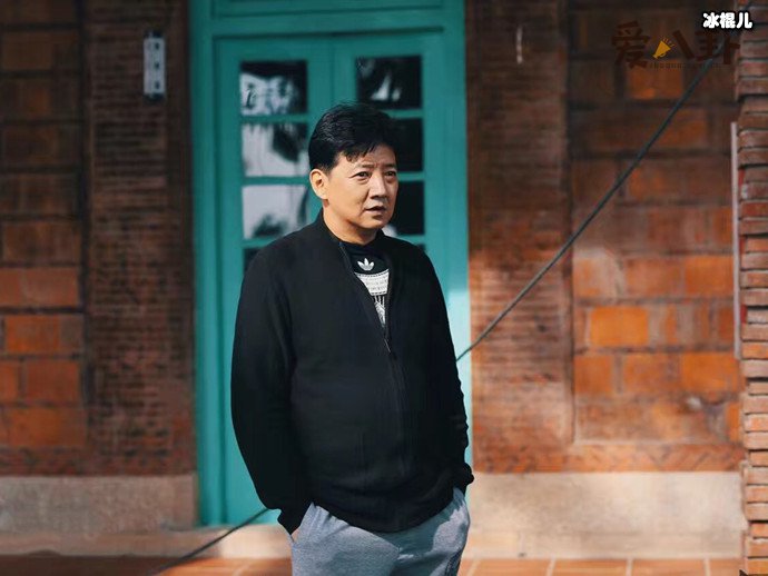 王砚辉演过什么电视剧