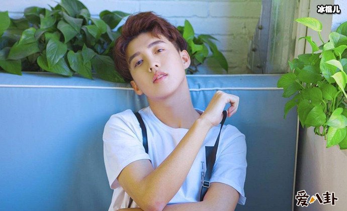 马闻远详细资料