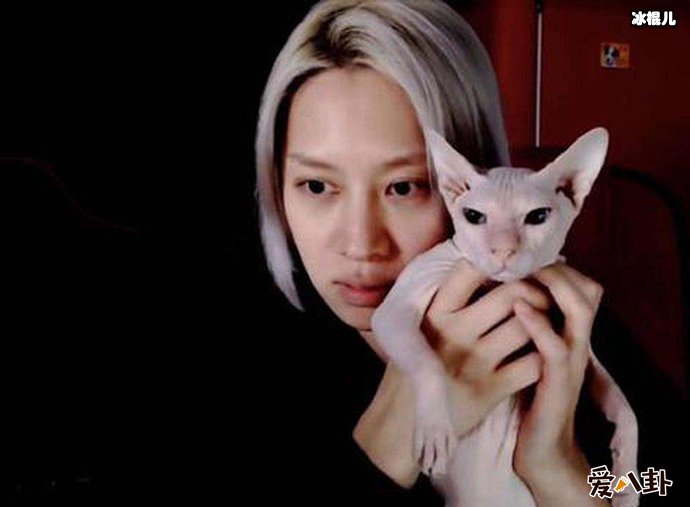 金希澈收养雪莉的猫 