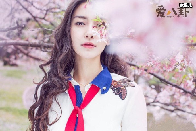 泰洋川禾今年相继离开了Angelababy和周冬雨