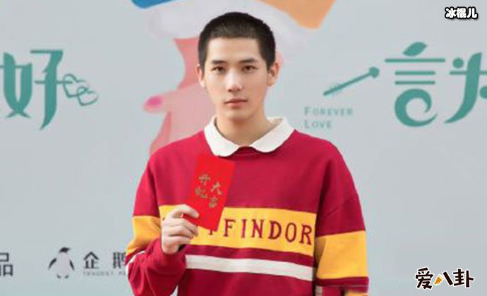 王安宇年龄多大