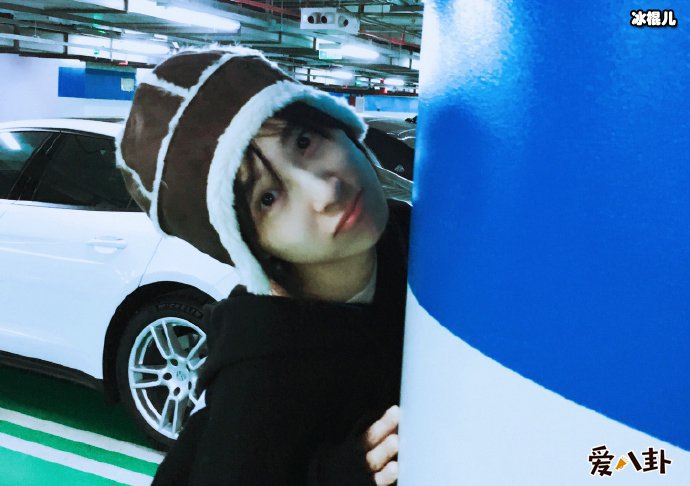 赵霁为什么会退隐的原因