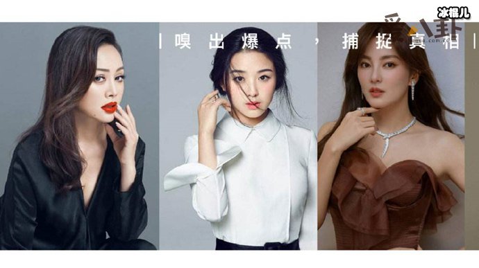 乘风破浪的姐姐扒一扒谁的背景最强