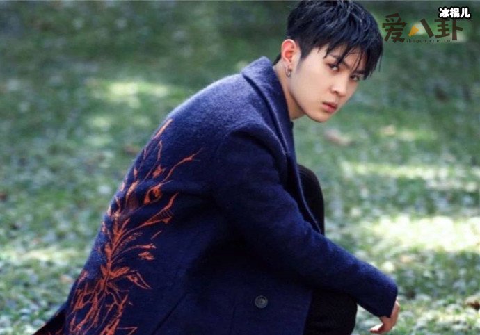 马伯骞和马仲骞不是双胞胎