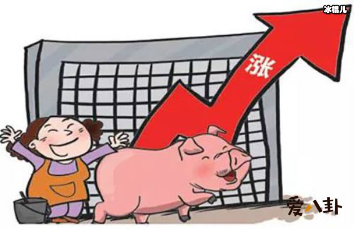 猪肉价格连涨12周