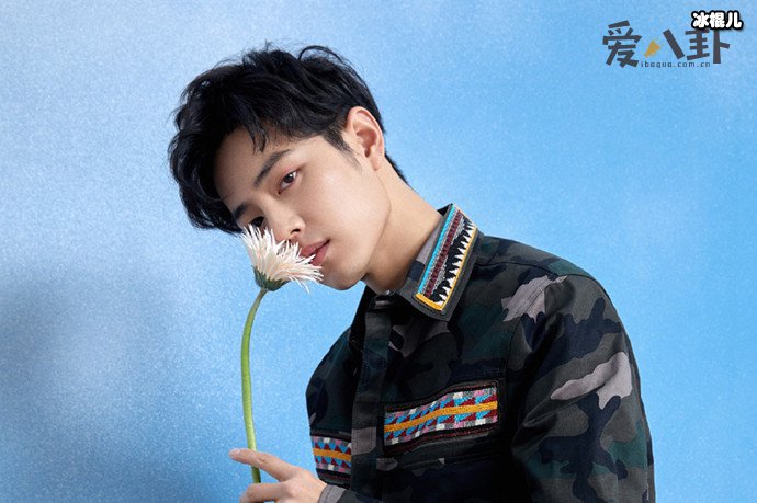 肖战后援会去向