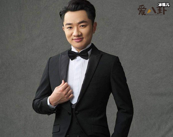 王祖蓝侵权葫芦娃原委