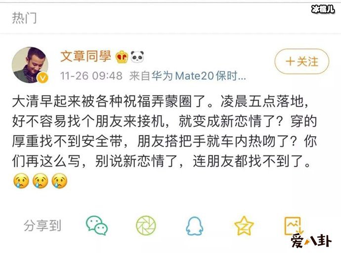 文章否认有新恋情