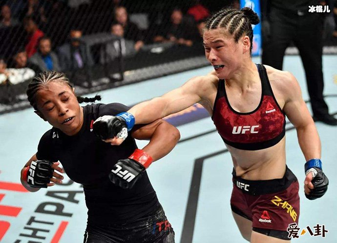 张伟丽为何被停赛