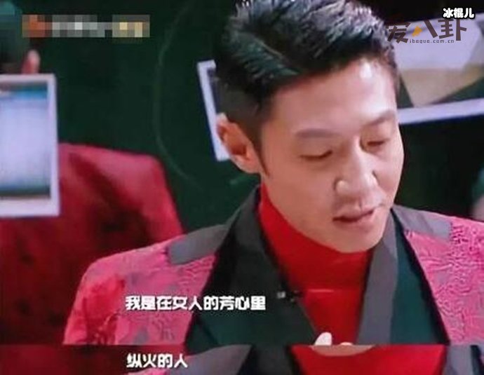 芳心纵火犯出自哪个综艺