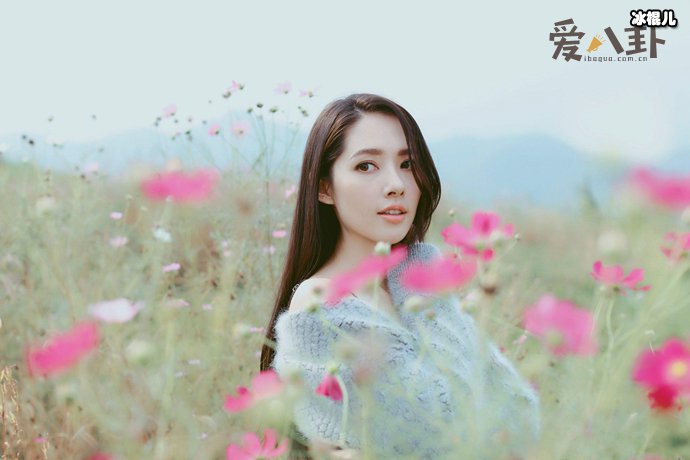 向太为什么不愿意公布怀孕