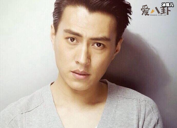 靳东白玉兰事件始末