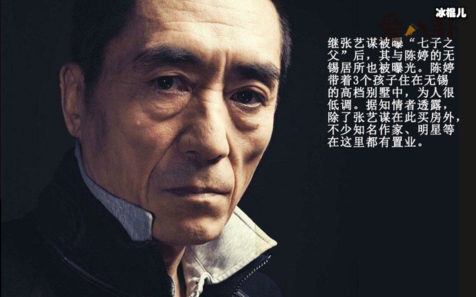 张艺谋七个孩子都是谁生的