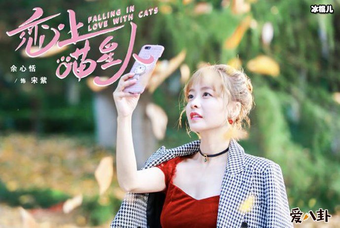 恋上喵星人剧照