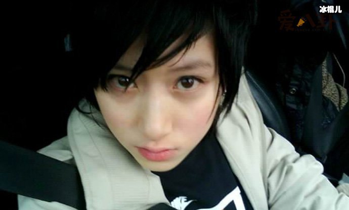 郑靓歆现状如何