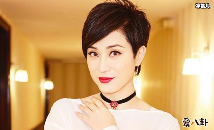 陈法蓉为什么不结婚