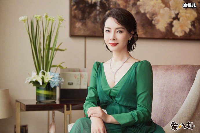 结婚九年陈数为何不生孩子