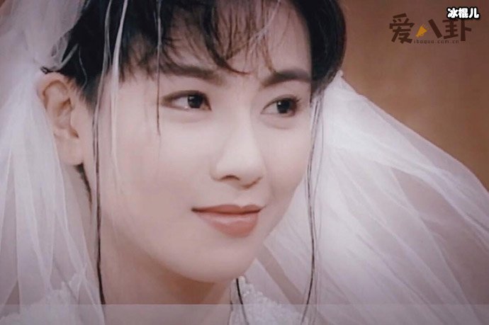 袁洁莹过往情史